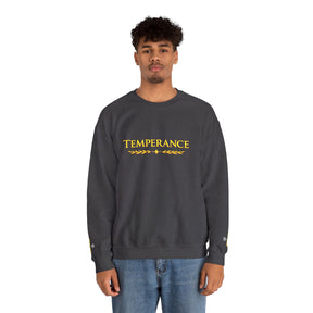 Entered Apprentice Blue Lodge Sweatshirt - Square & Compass Temperance Keep Balance - Bricks Masons
