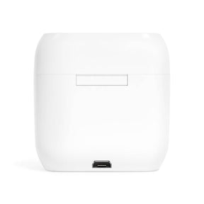 33rd Degree Scottish Rite Earbud - Wings Down White - Bricks Masons