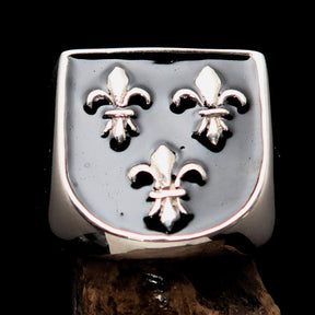 Knights Templar Commandery Ring - Black Fleur De Lis Sterling Silver